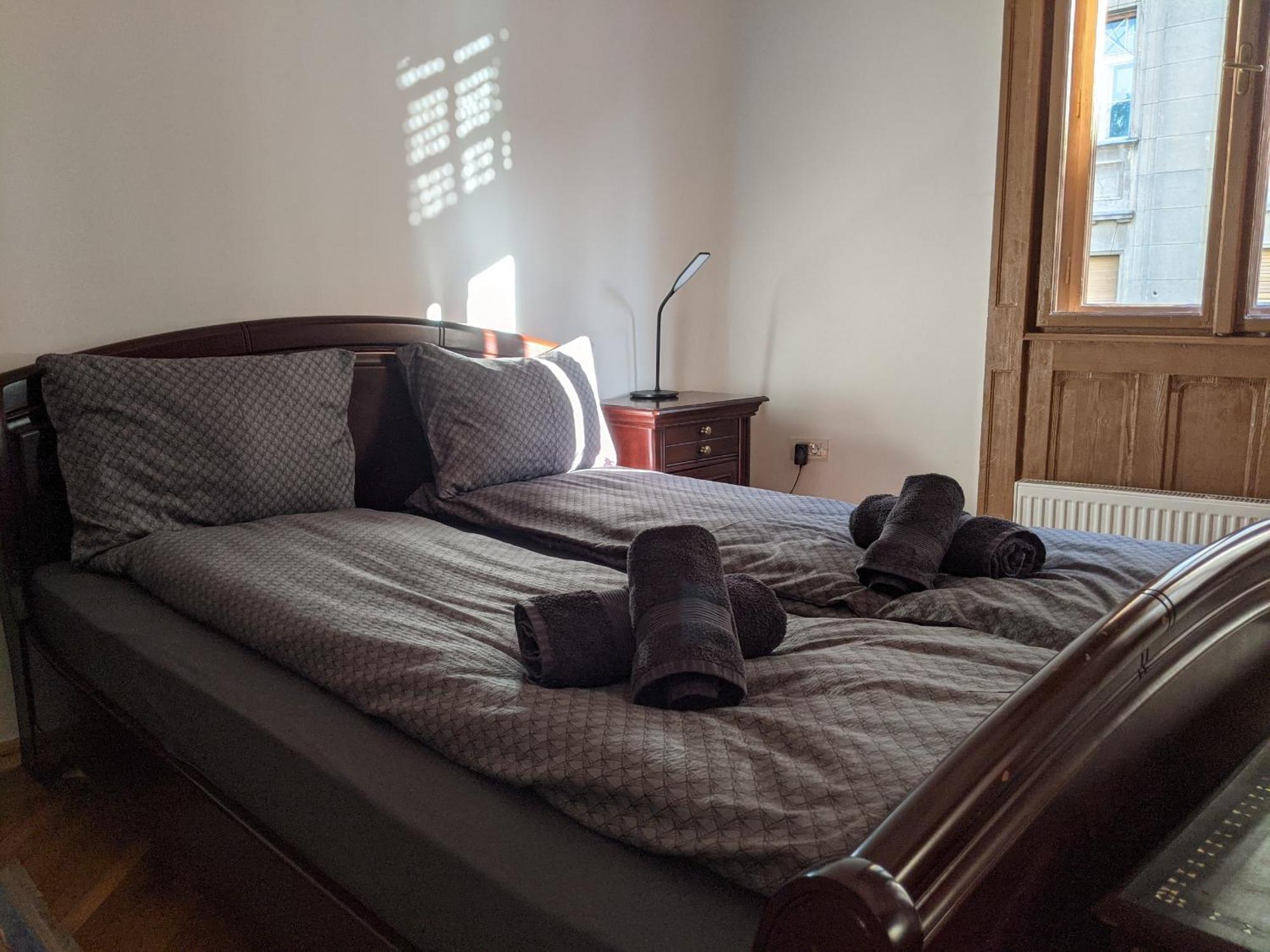Ultra-Central Apartment In The Loffler Palace Timişoara Buitenkant foto