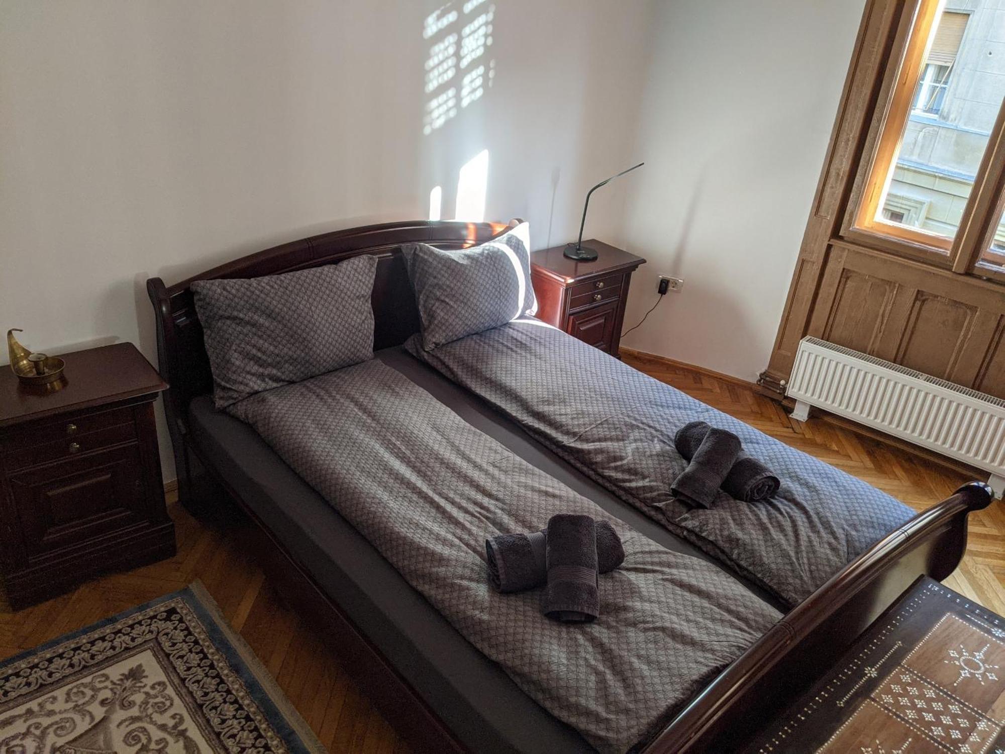 Ultra-Central Apartment In The Loffler Palace Timişoara Buitenkant foto